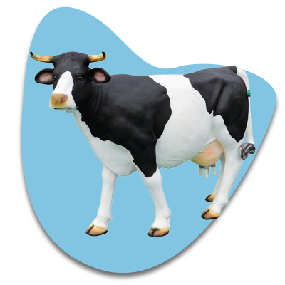 in de buurt Trend Molester Melkkoe kopen - koe melken voor evenementen - ViPa-Inflatables